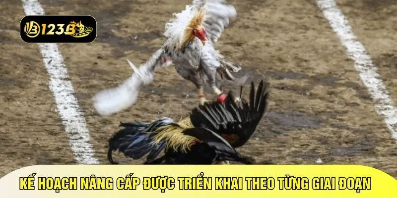 Kế hoạch nâng cấp được triển khai theo từng giai đoạn 