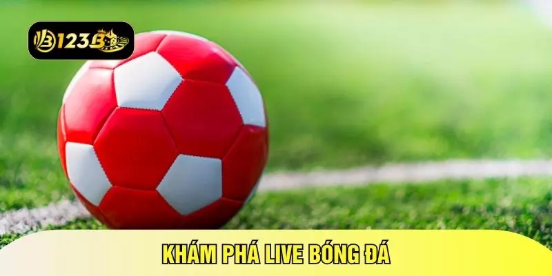 Khám phá live bóng đá